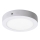 Rabalux - Luz de teto LED LED/12W/230V