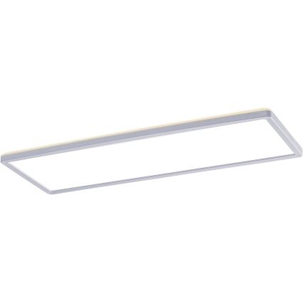 Rabalux - Painel montado à superfície LED LED/22W/230V