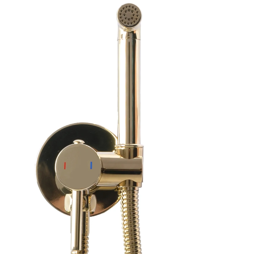 REA-B8979 - Misturador para bidé com duche de mão para instalação embutida LUNGO dourado