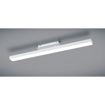 Reality - Iluminação de teto LED com regulação AGANO LED/18W/230V branca