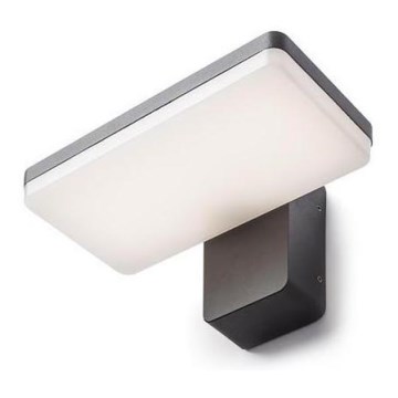 RED - Design Rendl-R11947- Iluminação de parede exterior LED RINA LED/12W/230V IP65