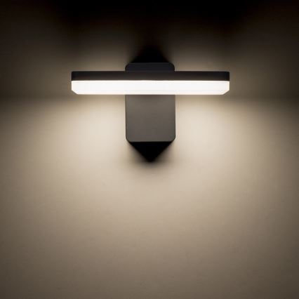 RED - Design Rendl-R11947- Iluminação de parede exterior LED RINA LED/12W/230V IP65