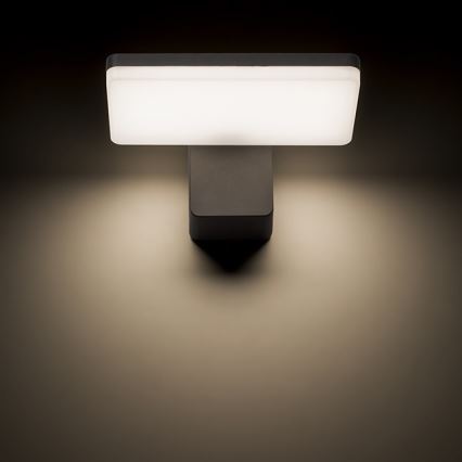 RED - Design Rendl-R11947- Iluminação de parede exterior LED RINA LED/12W/230V IP65