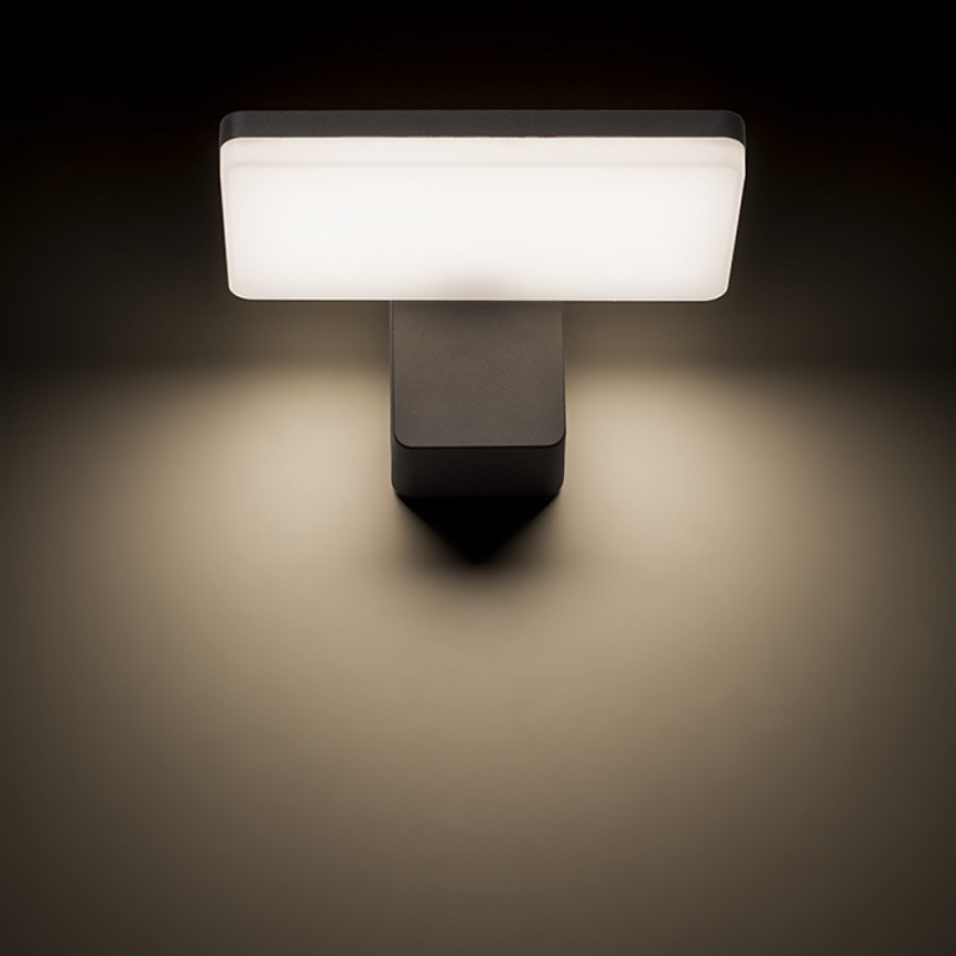 RED - Design Rendl-R11947- Iluminação de parede exterior LED RINA LED/12W/230V IP65