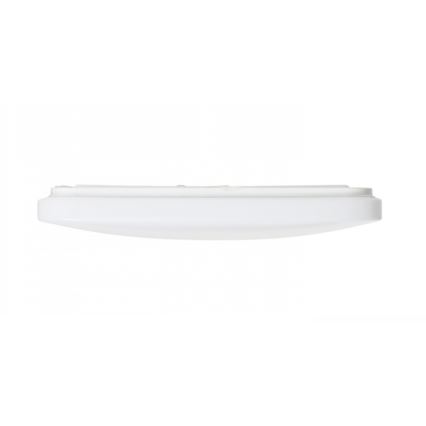 RED - Design Rendl - R12437 - Iluminação de teto LED SEMPRE LED/36W/230V quadrado