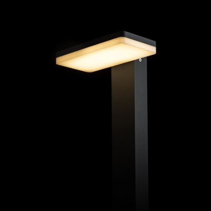 RED - Design Rendl - R12515 - Candeeiro exterior LED RINA LED/12W/230V IP44