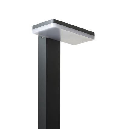 RED - Design Rendl - R12515 - Candeeiro exterior LED RINA LED/12W/230V IP44