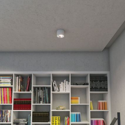 RED-Design Rendl-R12633-Foco LED com regulação KELLY LED/15W/230V branco