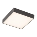 RED - Design Rendl - R12851 - Iluminação de teto LED LARISA LED/30W/230V preta