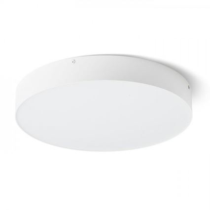 RED - Design Rendl - R13484 - Iluminação de teto LED LARISA LED/50W/230V branco