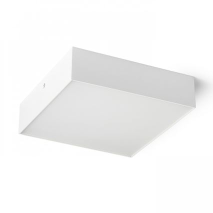 RED - Design Rendl - R13487 - Iluminação de teto LED LARISA LED/20W/230V branca