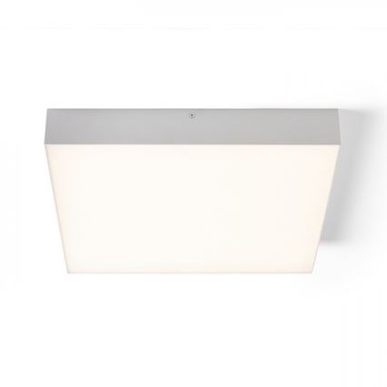 RED - Design Rendl - R13489 - Iluminação de teto LED LARISA LED/50W/230V branca