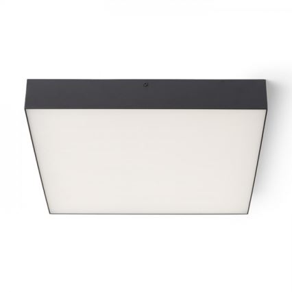 RED - Design Rendl - R13490 - Iluminação de teto LED LARISA LED/50W/230V preta