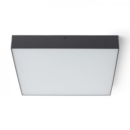 RED - Design Rendl - R13490 - Iluminação de teto LED LARISA LED/50W/230V preta