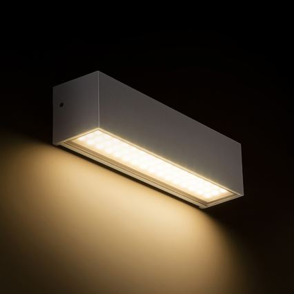 RED - Design Rendl - R13527 - Iluminação de parede exterior LED CAMARGUE LED/6W/230V IP65