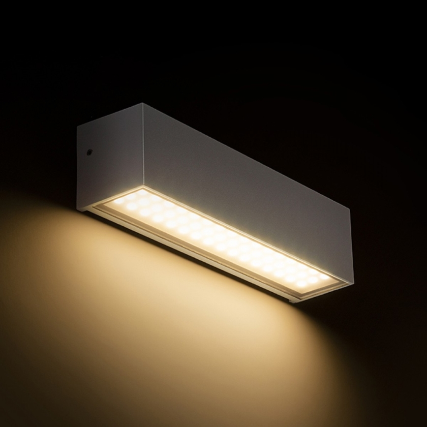 RED - Design Rendl - R13527 - Iluminação de parede exterior LED CAMARGUE LED/6W/230V IP65