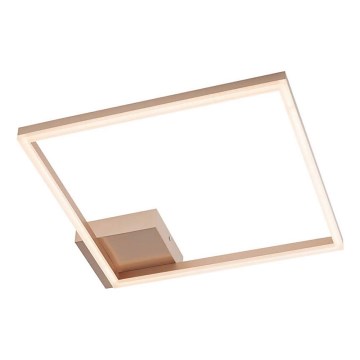 Redo 01-1639 - Luminária de teto LED dimável KLEE LED/30W/230V 45x45 cm dourada