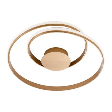 Redo 01-1792 - Iluminação de teto LED com regulação TORSION LED/30W/230V bronze