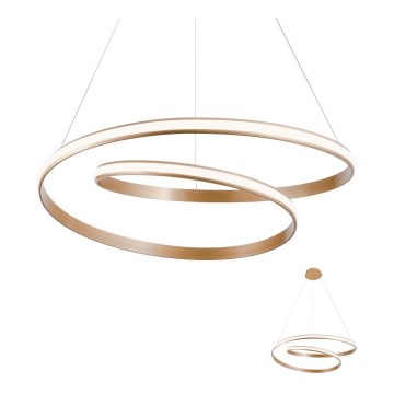 Redo 01-1796 - Candelabro num fio LED TORSION LED/40W/230V