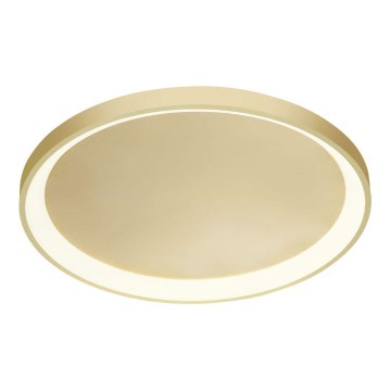Redo 01-2667 - Iluminação de teto LED com regulação ICONIC LED/40W/230V diâmetro 48 cm dourada