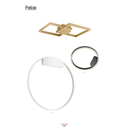 Redo 01-2817 - Iluminação de parede LED com regulação FEBE LED/24W/230V dourada