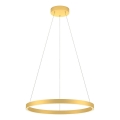 Redo 01-2865 - Candelabro suspenso LED com regulação FEBE LED/37W/230V dourada