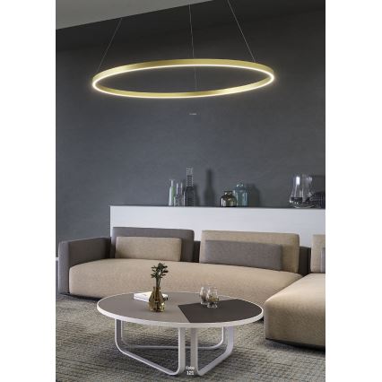 Redo 01-2867 - Candelabro suspenso LED com regulação FEBE LED/37W/230V preto