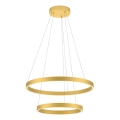 Redo 01-2889 - Candelabro suspenso LED com regulação FEBE LED/62W/230V dourada