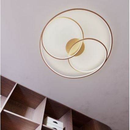 Redo 01-2973 - Iluminação de teto LED CENTRIX LED/92W/230V bronze
