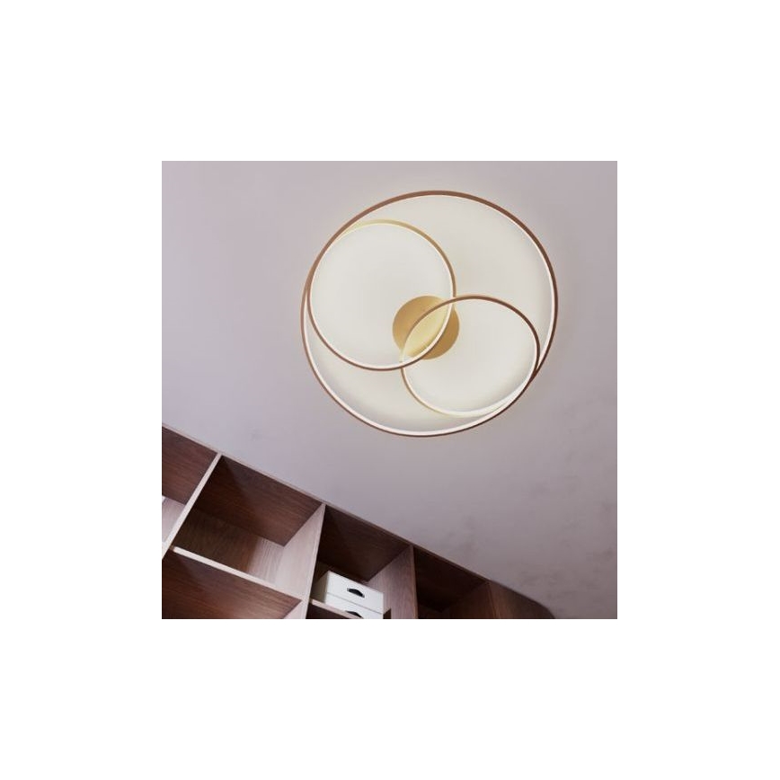 Redo 01-2973 - Iluminação de teto LED CENTRIX LED/92W/230V bronze