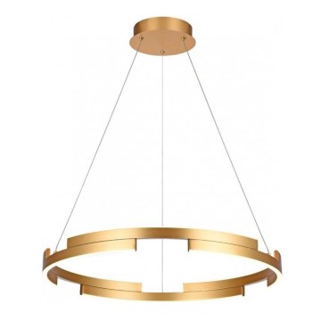 Redo 01-3172 - Candelabro suspenso LED com regulação CASTLE LED/36W/230V dourada