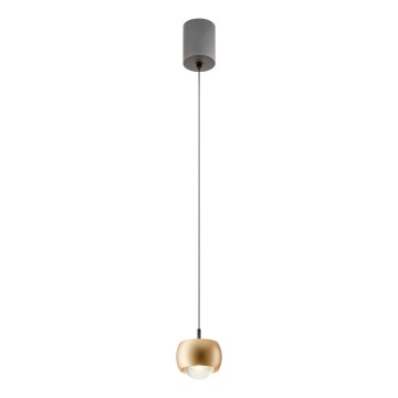 Redo 01-3547 - Candeeiro suspenso LED AVES LED/12W/230V diâmetro 9,6 cm CRI 90 dourado