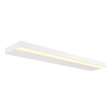 Redo 01-3554 - Iluminação de parede LED SEED LED/30W/230V branco