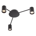 Redo 01-4050 - Foco NOA 3xGU10/10W/230V preto