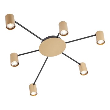 Redo 01-4051 - Foco NOA 6xGU10/10W/230V dourado