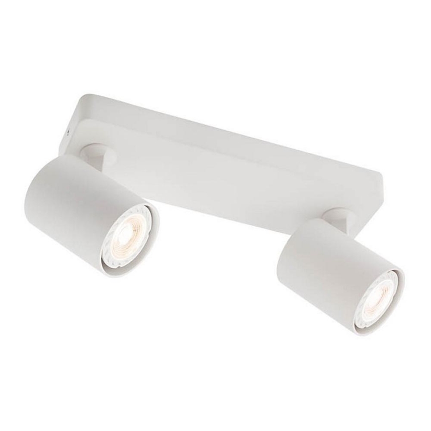 Redo 04-469 - Foco CAMEO 2xGU10/50W/230V
