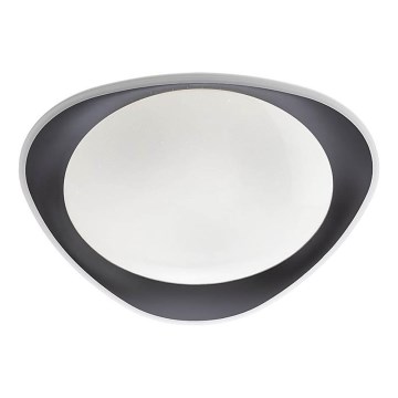 Redo 05-922 - Iluminação de teto LED VERENA LED/24W/230V antracite