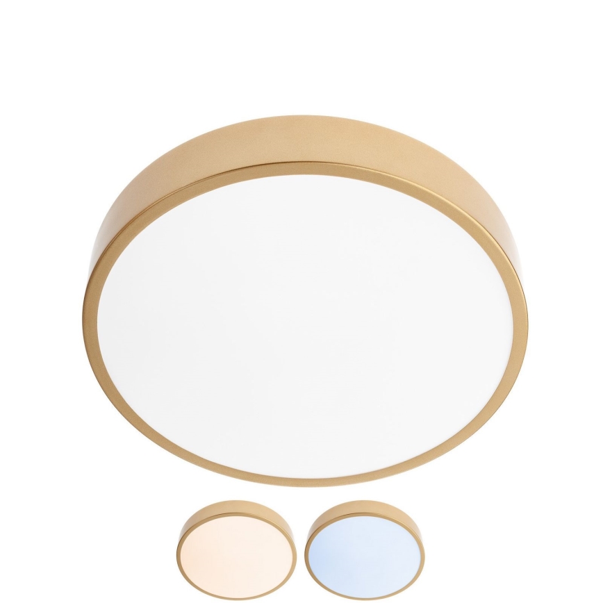Redo 05-929 - Iluminação de teto LED KNOB LED/24W/230V 3000K-6500K 30 cm dourado