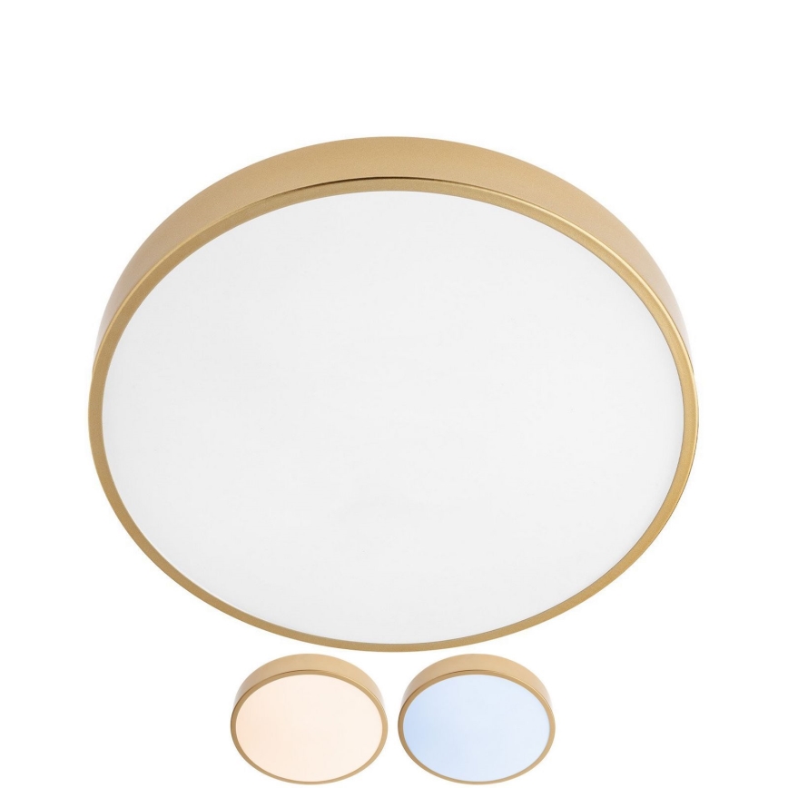 Redo 05-932 - Iluminação de teto LED KNOB LED/36W/230V 3000K-6500K 40 cm dourado