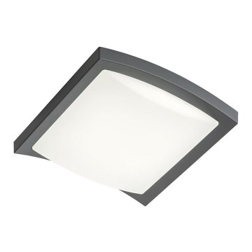Redo 90007 - Iluminação de teto exterior LED TALLIN LED/21W/230V 24,5x24,5 cm IP54 antracite