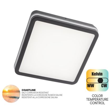 Redo 90288 - Iluminação de teto exterior LED ISOLA LED/24W/230V 26x26 cm 3000/4000/6500K IP54 antracite