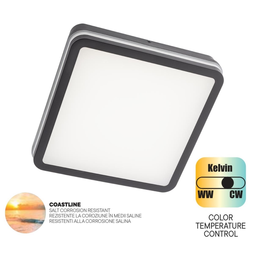 Redo 90288 - Iluminação de teto exterior LED ISOLA LED/24W/230V 26x26 cm 3000/4000/6500K IP54 antracite