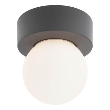 Redo 90641 - Iluminação de teto exterior BULK 1xE27/28W/230V IP44 antracite