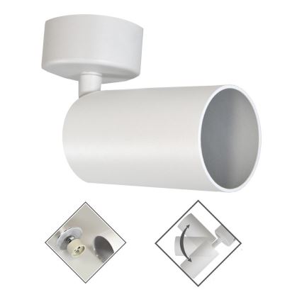 Refletor FARGO 1xGU10/30W/230V branco