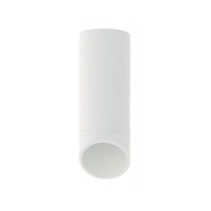Refletor VALDA 1xGU10/60W/230V branco