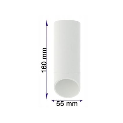 Refletor VALDA 1xGU10/60W/230V branco