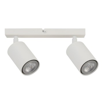 Refletor ZOOM 2xGU10/25W/230V branco