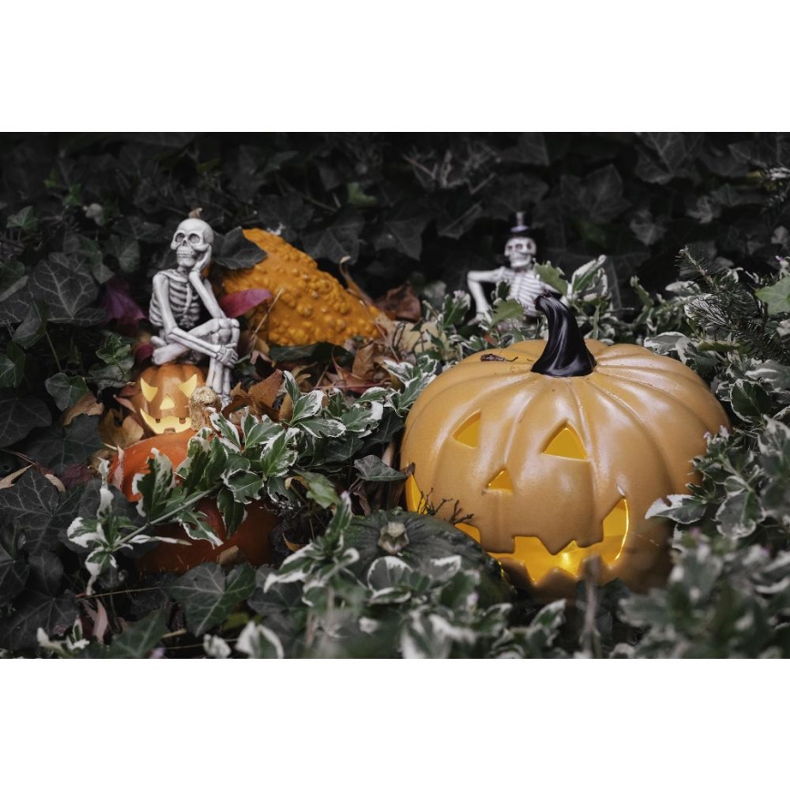 Decoração LED HALLOWEEN LED/2xLR44/branco quente esqueleto numa abóbora resina