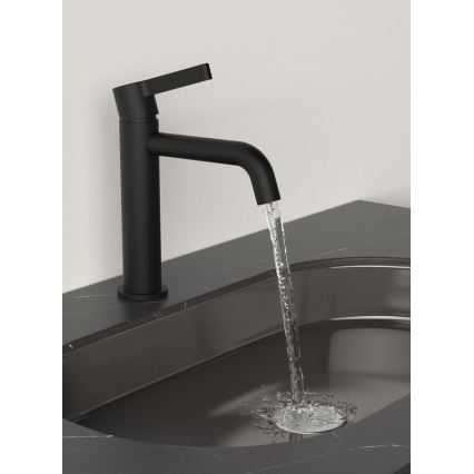 Sapho - Torneira do lavatório ICONIC 18,7 cm mate preto