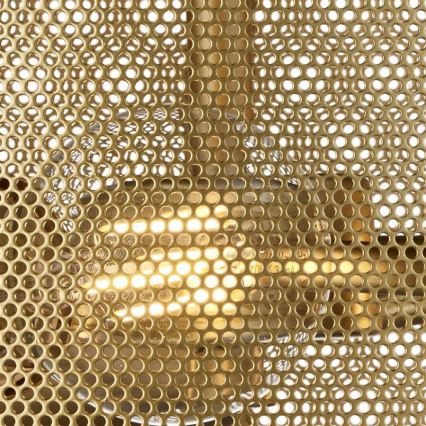 Searchlight - Luz de teto FISHNET 3xE27/60W/230V dourado